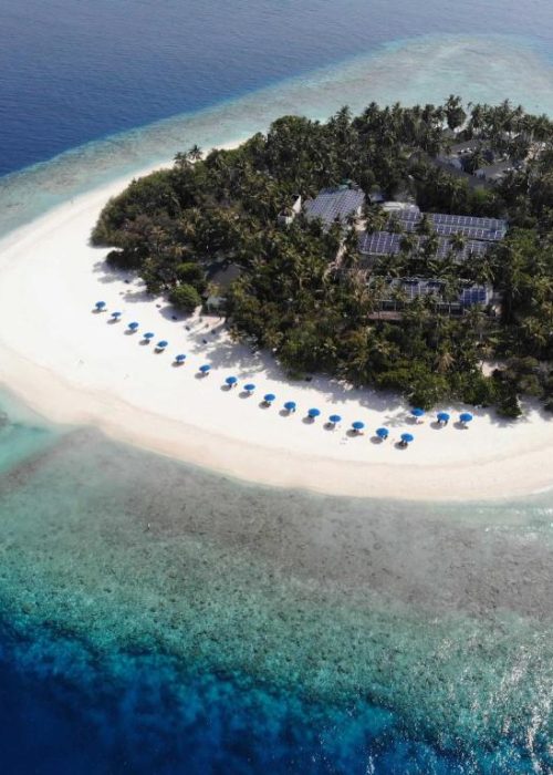 malahini kuda bandos