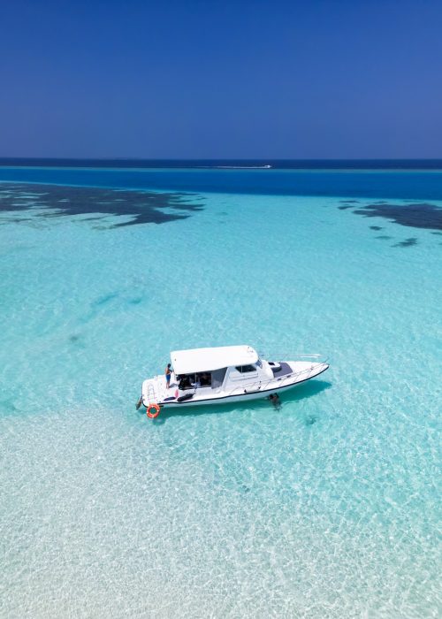 full day trip by boat