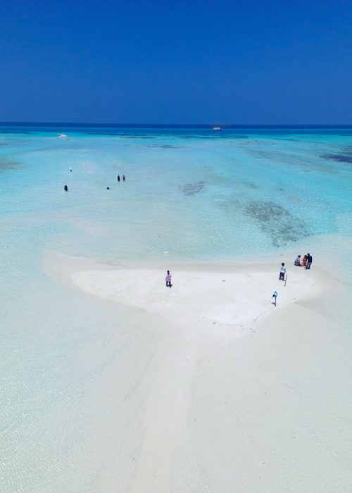 sandbank
